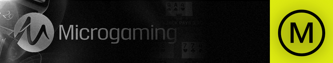 где крутить слоты производителя micro gaming casino