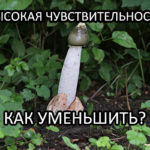 Высокая чувствительность головки полового члена - как снизить