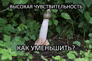 Высокая чувствительность головки полового члена - как снизить